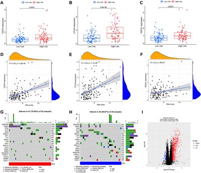 Prognostic characteristics of immune subtypes associated with acute myeloid leukemia and their identification in cell subsets based on single-cell sequencing analysis